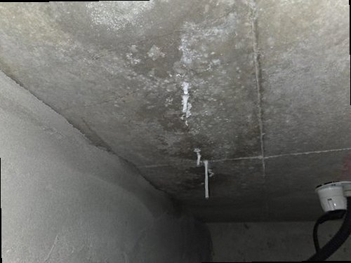 청주시 서원구 누수탐지 천장 얼룩 주변 배관 이음부를 살피는 현장 점검 장면