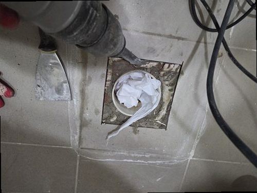 부산진구 근거 설명 부산진구 근거 설명