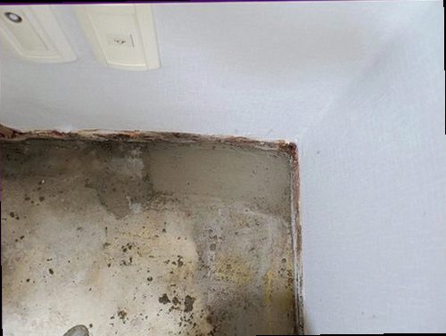 부평구 누수탐지 벽면 얼룩과 습기 흔적을 점검하는 장면