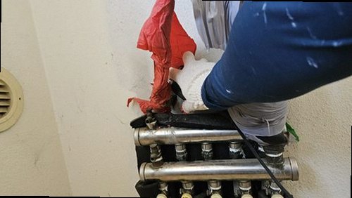 연제구 근거 설명 연제구 근거 설명