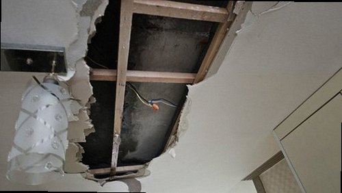 해운대구 근거 설명 해운대구 근거 설명