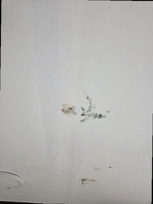 부산 남구 누수탐지 대연동 단독주택 2층 계단 벽 시공 후기 사진