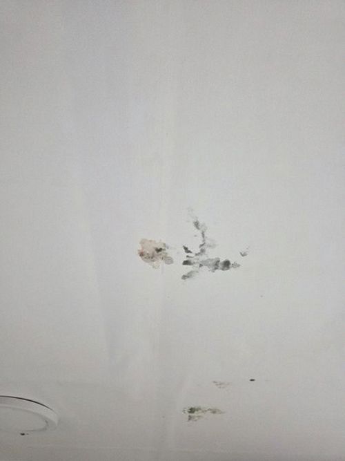 누수탐지 벽면 습도 측정 장비로 안방 벽체 상태를 점검하는 모습