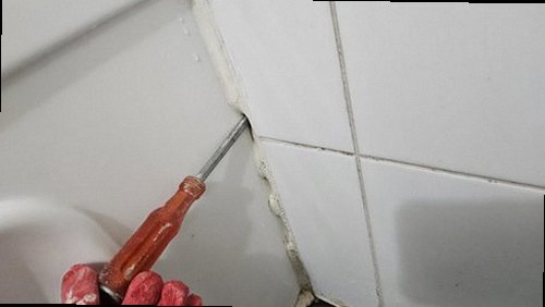 부산 남구 누수탐지 문현동 상가건물 2층 복도 벽면 시공 후기 사진