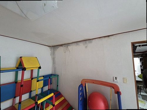 부산 북구 공정 확정 부산 북구 공정 확정