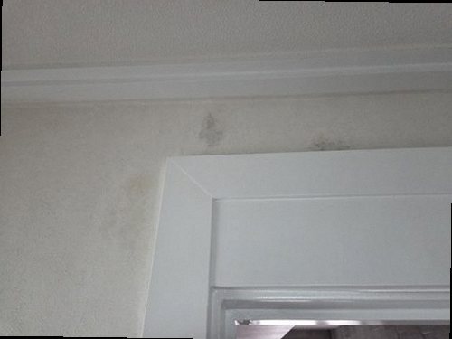 부산 서구 현장 진단 부산 서구 현장 진단