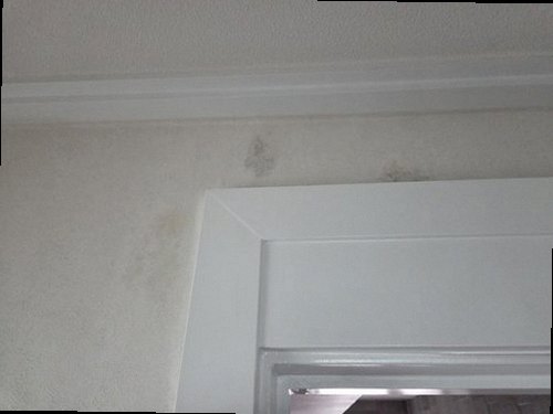 사하구 누수탐지 장림동 아파트 14층 거실 천장 시공 후기 사진