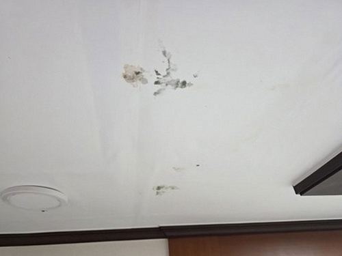 누수탐지 측정 기록을 정리한 점검 보고 자료