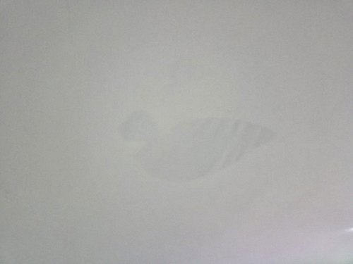 누수탐지 연산5동 누수탐지 아래층물샘 현장에서 확인한 핵심 4가지