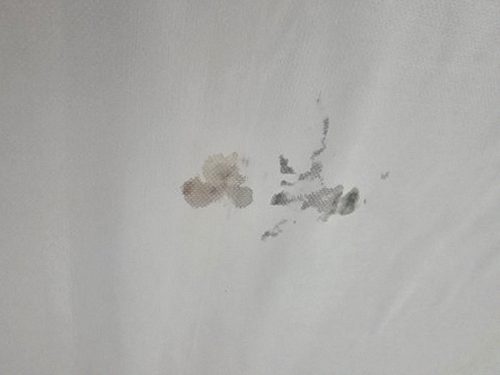 금산군 누수탐지 금산읍 상가건물 2층 회의실 천장 시공 후기 사진