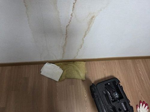 영도구 현장 확인
