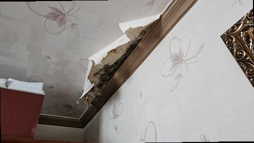 구로구 재점검 기록 구로구 재점검 기록