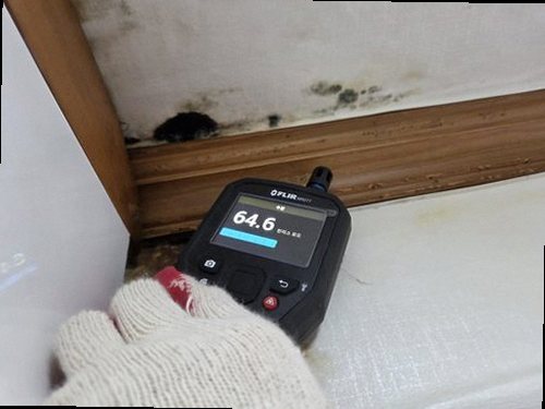 대전 서구 누수탐지 삼천동 아파트 10층 안방 천장 모서리 시공 후기 사진