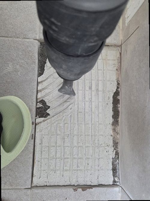 영도구 현장 확인