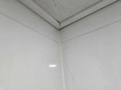 누수탐지 벽지 변색과 벽 모서리의 습기 흔적을 살피는 모습