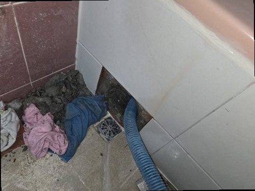 부산 남구 함께 확인 부산 남구 함께 확인