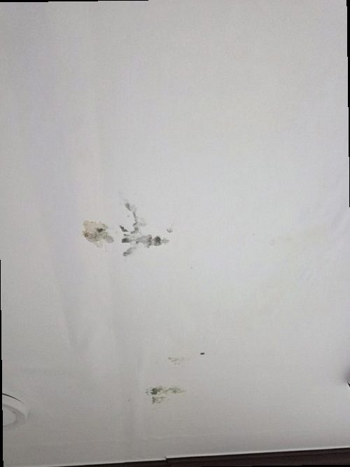 청주시 청원구 누수탐지 정북동 아파트 8층 아이방 창가 시공 후기 사진