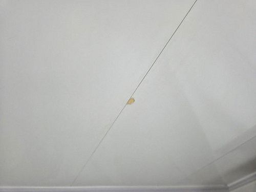 누수탐지 오정동 누수탐지로 살피는 층간 누수 확인 가이드