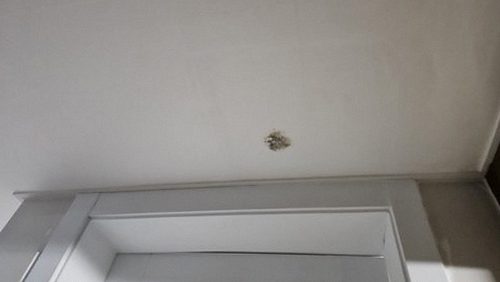 누수탐지 상대동 누수탐지 거실물샘흔적이란 무엇인가 기초 정리