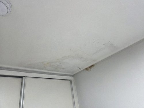 누수탐지 사직동 누수탐지, 천장 얼룩을 단계별로 검증하는 순서