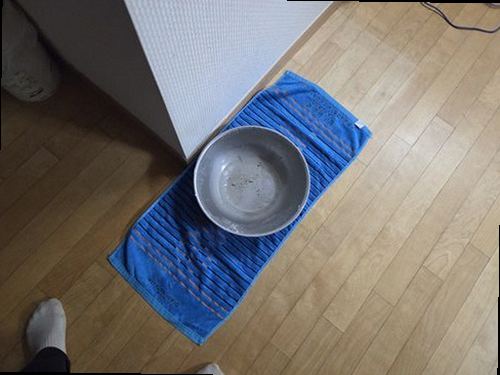누수탐지 청학동 누수탐지 비용·보험 확인할 3단계