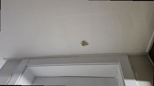 영도구 누수탐지 동삼동 아파트 2층 거실 바닥 시공 후기 사진