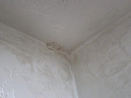 누수탐지 거실 바닥과 벽면 경계에 남은 습기 흔적을 관찰하는 장면