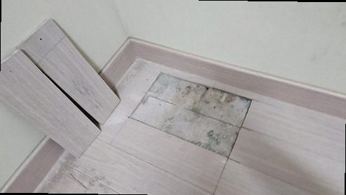 영도구 완료 점검 영도구 완료 점검