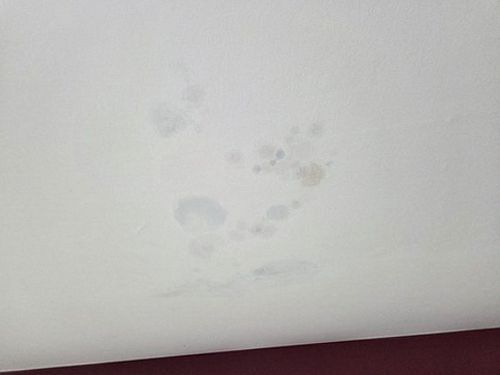 누수탐지 강내면 누수탐지 누수증상 두 원인 가려낸 실제 검증 과정