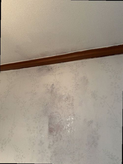 천장 누수 서울 중구 누수탐지 천장 누수