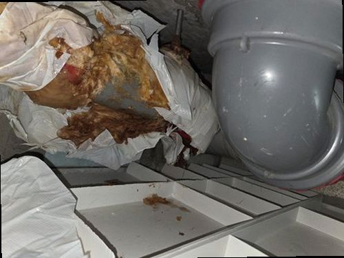 기장군 누수탐지 일광읍 단독주택 2층 외부 수도관 시공 후기 사진