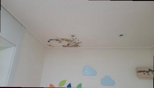 사하구 누수탐지 벽면과 바닥의 습기 흔적을 확인하는 점검 장면