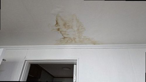 부산 중구 누수탐지 중앙동 오피스텔 12층 현관 앞 시공 후기 사진