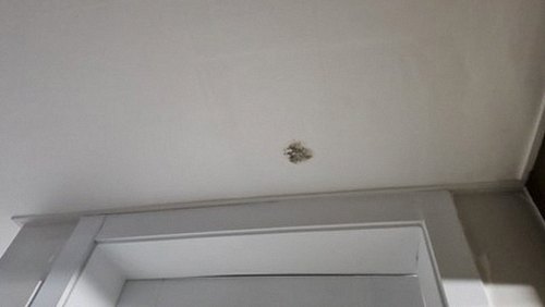 부산 강서구 누수탐지 신호동 다가구주택 3층 계단실 시공 후기 사진