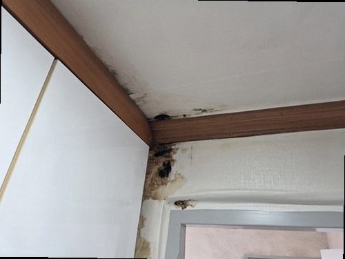 미세누수 정밀탐지 시흥 누수탐지 미세누수 정밀탐지
