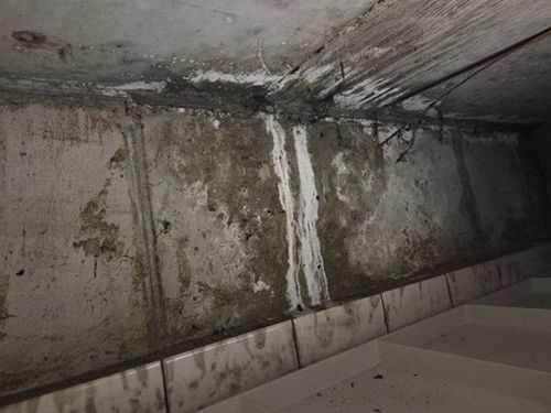 누수탐지 수분 측정기로 벽체 상태를 확인하는 장면