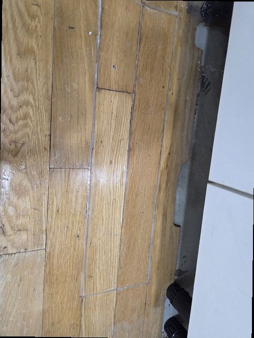 대덕구 재점검 기록 대덕구 재점검 기록