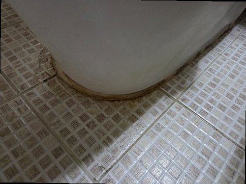 대전 서구 누수탐지 용문동 상가 1층 화장실 앞 시공 후기 사진