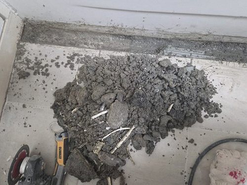 누수탐지 열화상 카메라로 벽체 온도 차이를 확인하는 장면