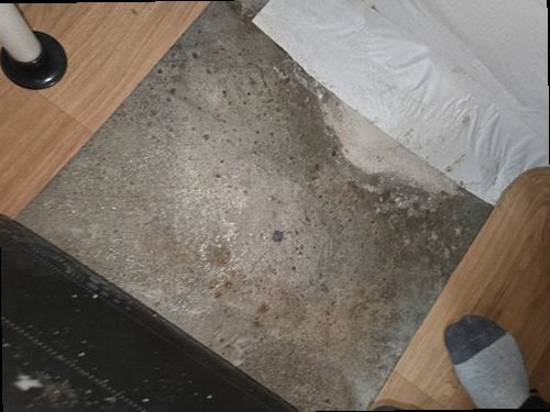 누수탐지 초촌면 누수탐지 거실 천장 얼룩 원인 확인부터 해결까지