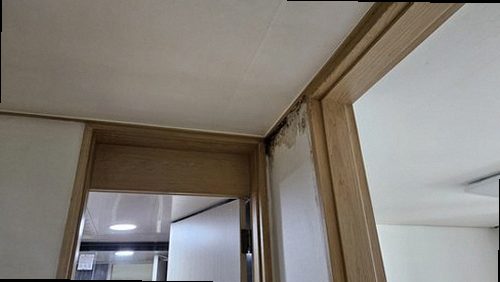 대전 중구 누수탐지 부사동 연립주택 3층 세탁실 시공 후기 사진