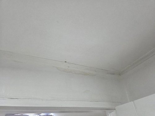 누수탐지 용두동 누수탐지 안방도배물방울 자가 점검과 전문 탐지 비교