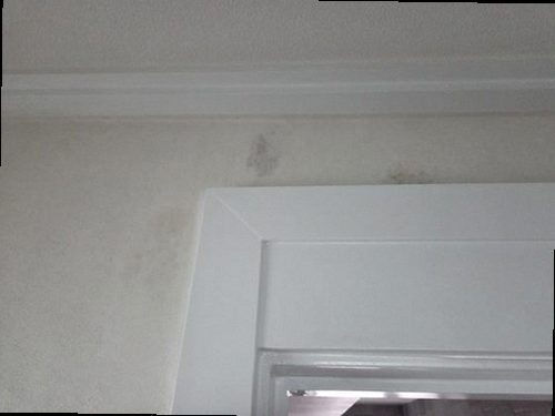 유성구 누수탐지 도룡동 업무시설 3층 탕비실 옆 바닥 시공 후기 사진