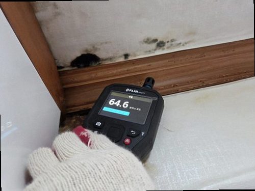 미세누수 정밀탐지 연천 누수탐지 미세누수 정밀탐지
