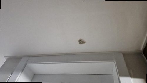 천장 누수 사하구 누수탐지 천장 누수