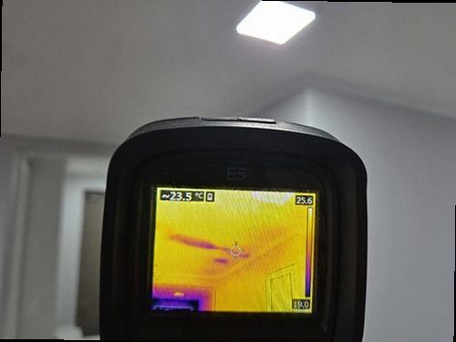 대전 서구 함께 확인 대전 서구 함께 확인