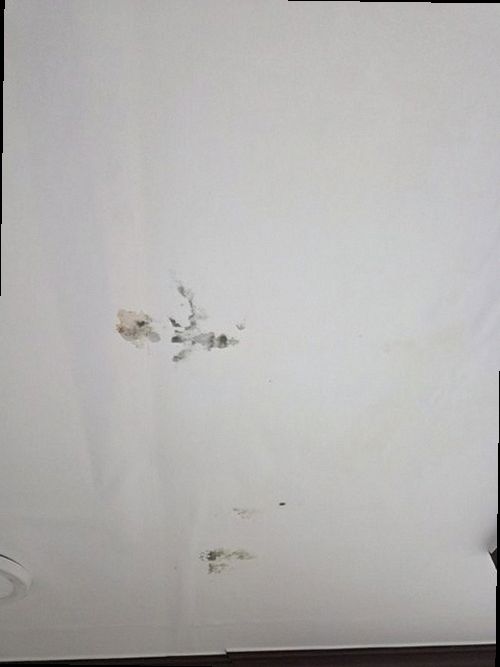 유성구 누수탐지 지족동 아파트 4층 안방 천장 시공 후기 사진