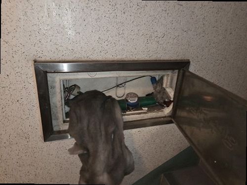 누수탐지 벽과 바닥에 나타난 누수 흔적을 확인하는 점검 모습