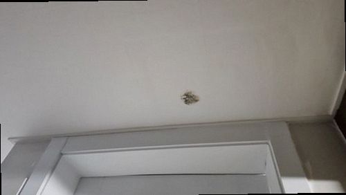 청주시 서원구 누수탐지 사직동 아파트 7층 세탁실 시공 후기 사진
