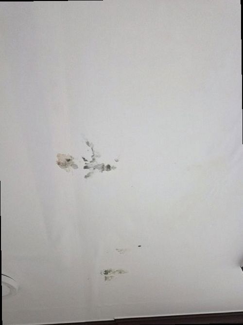 청주시 서원구 누수탐지 분평동 아파트 3층 안방 벽면 시공 후기 사진